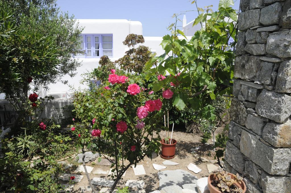 Andriani'S Guest House Mykonos Town Buitenkant foto